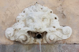 Un particolare della fontana. L'unico cannolo dellla fontana.              